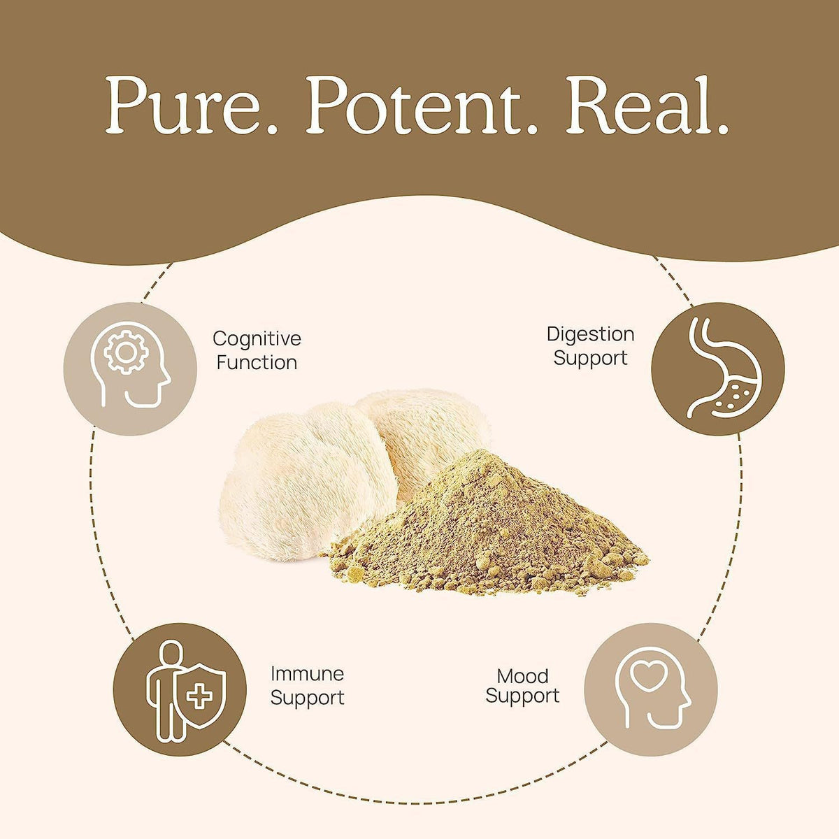 Lion's Mane Mushroom Extract Capsules