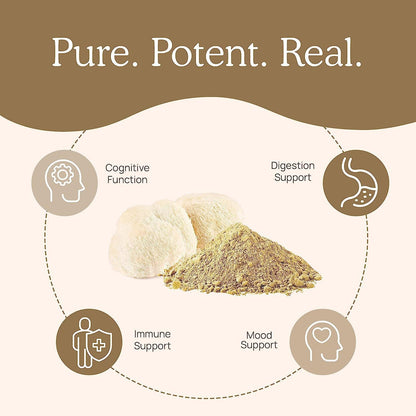 Lion's Mane Mushroom Extract Capsules